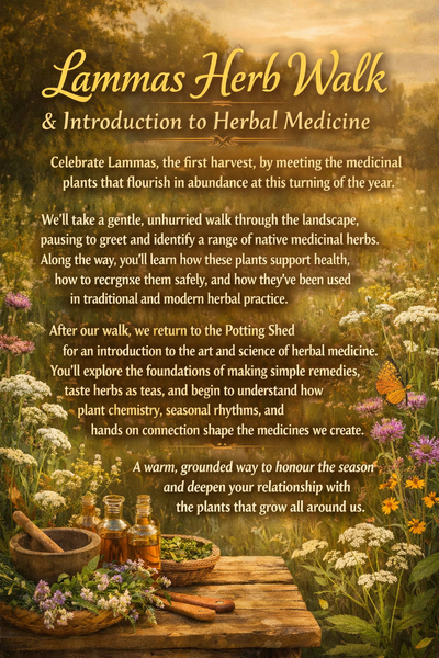 Herb Walk & Introduction to Herbal Medicine with Green Wisdom Apothecary Saturday August 1st 10-12.30pm