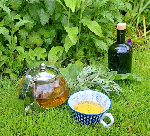 Herb Walk & Introduction to Herbal Medicine with Green Wisdom Apothecary Saturday August 1st 10-12.30pm