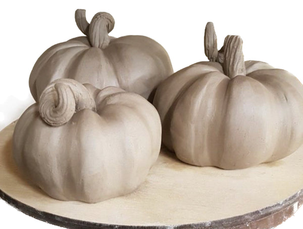 Stoneware Autumn Pumpkin Workshop  10-3pm Oct 18th (Mixed Ability)