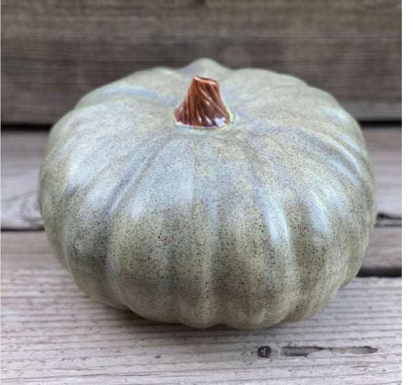 Stoneware Autumn Pumpkin Workshop  10-3pm Oct 18th (Mixed Ability)