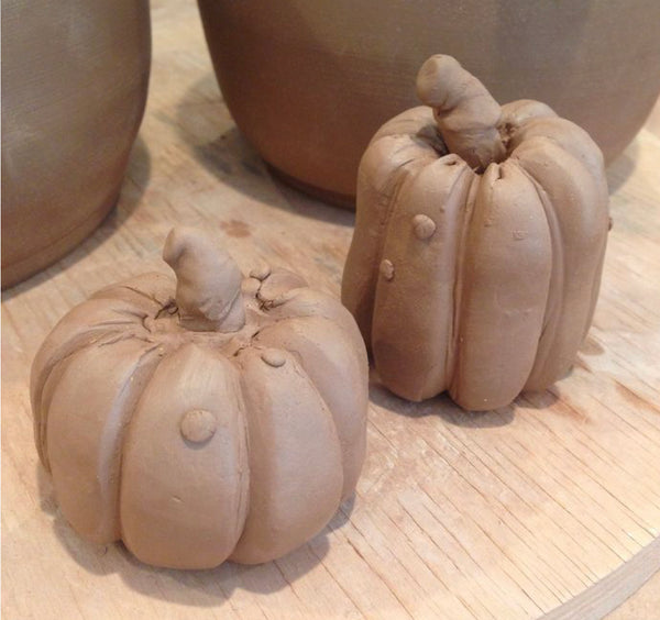 Stoneware Autumn Pumpkin Workshop  10-3pm Oct 18th (Mixed Ability)